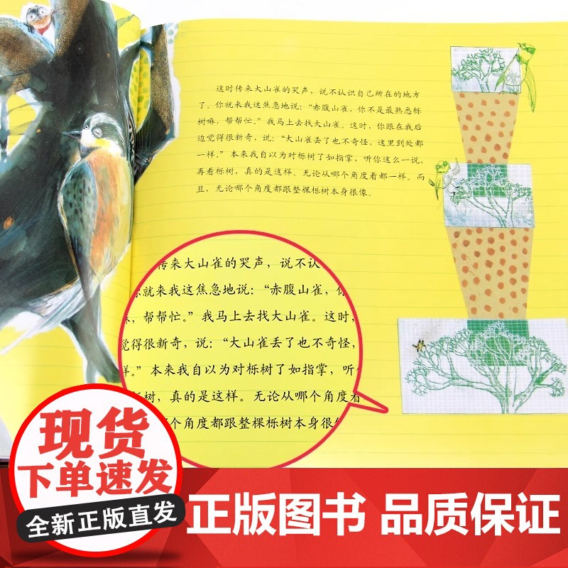 一起一起分类病数学绘本一年级二年级幼儿园宝宝亲子读物幼儿童启蒙认知早教3-8岁宝宝学习故事书数学读物高清大图
