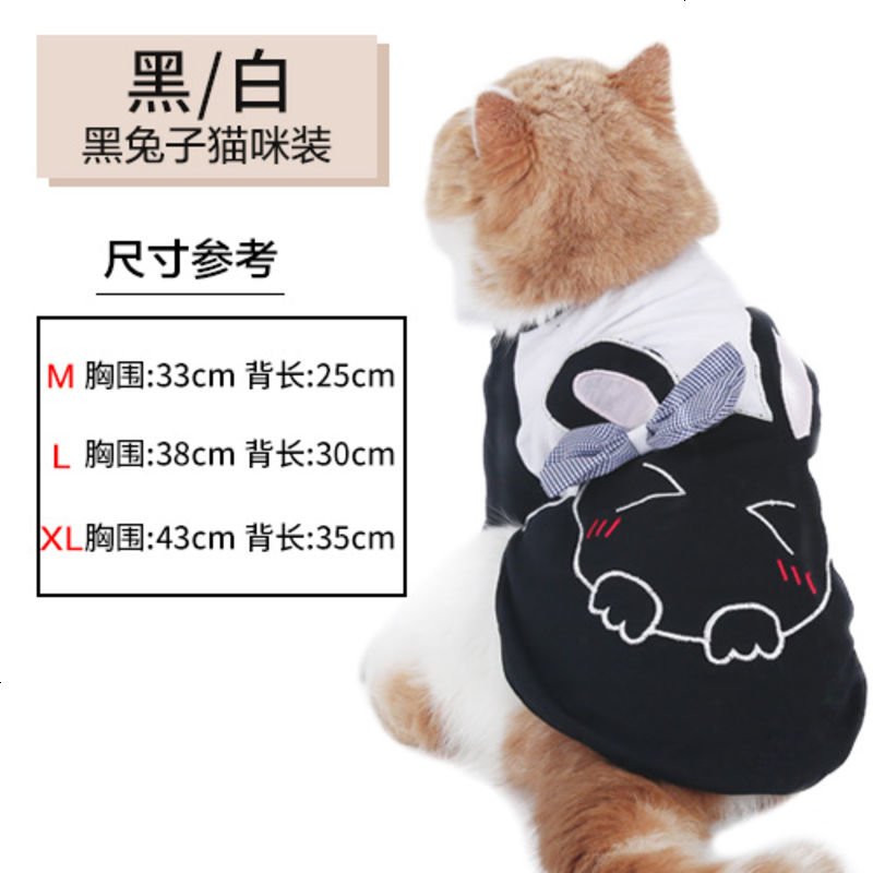 猫咪衣服夏装薄款猫咪猫猫蓝猫暹罗猫无毛猫幼猫背心T恤宠物夏季