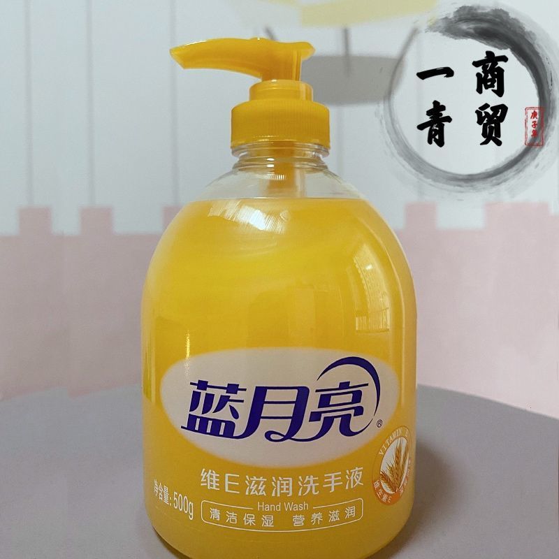 蓝月亮芦荟洗手液野菊花维生素E清香型抑菌补充装按压瓶 芦荟*2瓶(1个泵头+1个无泵头))