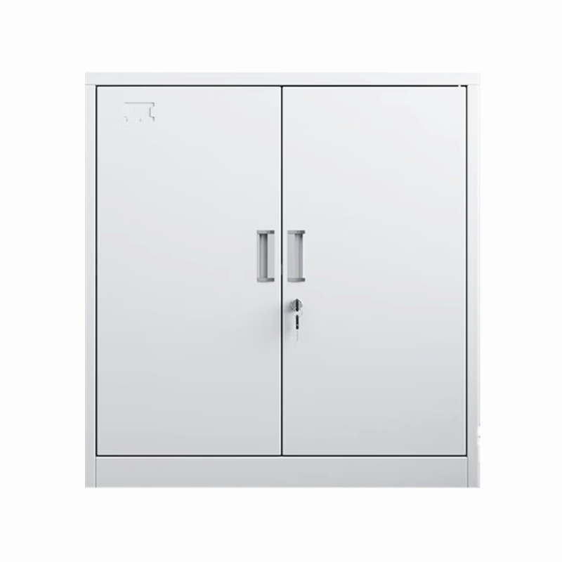 彤悦 TY-WJG236 对开门矮柜 铁皮柜 档案柜储物柜钢制 850*390*900mm板材厚度:0.5mm