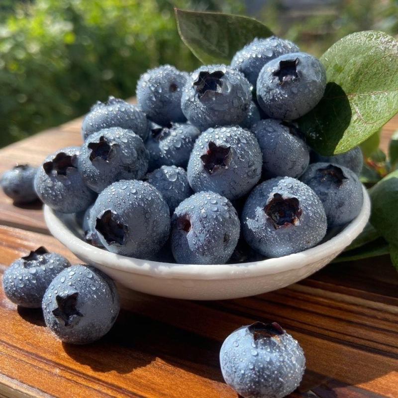 礼盒装 [熊猫鸟]云南蓝莓 8杯 60g/杯 单果15mm+ 新鲜水果当季蓝梅鲜果现摘高山怡颗孕妇可食高清大图