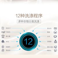 小天鹅（LittleSwan）TG90V61WDG 9公斤 智能静音 节能 变频 家用 全自动滚筒洗衣机
