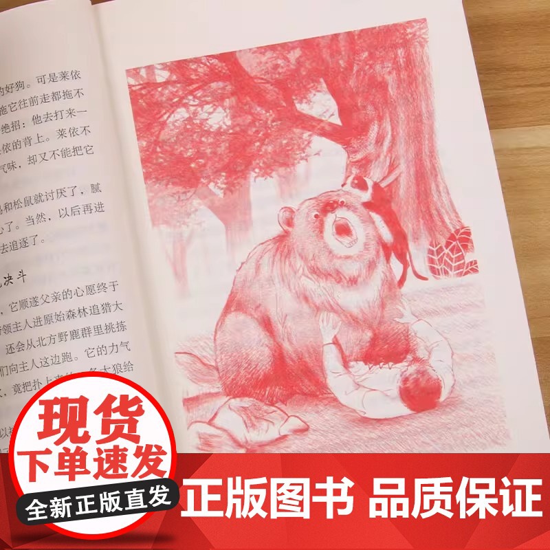 正版书籍 亲近母语经典童书阅读指导版雪地寻踪 适合小学生课外阅读书籍 老师寒暑假课外阅读经典儿童故事高清大图