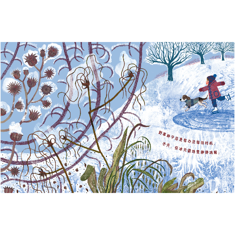 正版新书]野草总是有办法(美)辛迪·詹森-艾略特9787559662286高清大图