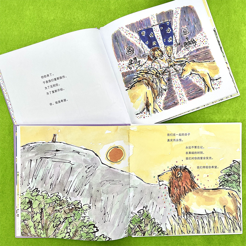 单本全册 [正版]你就是希望 马修·科德尔 阿甲 译 凯迪克金奖作家治愈之作 《我遇见了一只小灰狼》作家暖心作品 上海译高清大图
