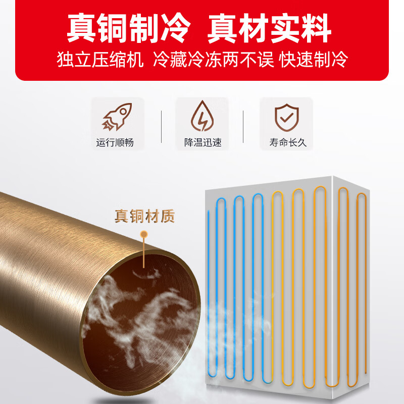 星星BD-1300TE六门全冷冻1229升厨房商用保鲜设备 单温冷冻冷柜 单温商用冰箱 不锈钢冷冻保鲜柜 铜管制冷高清大图