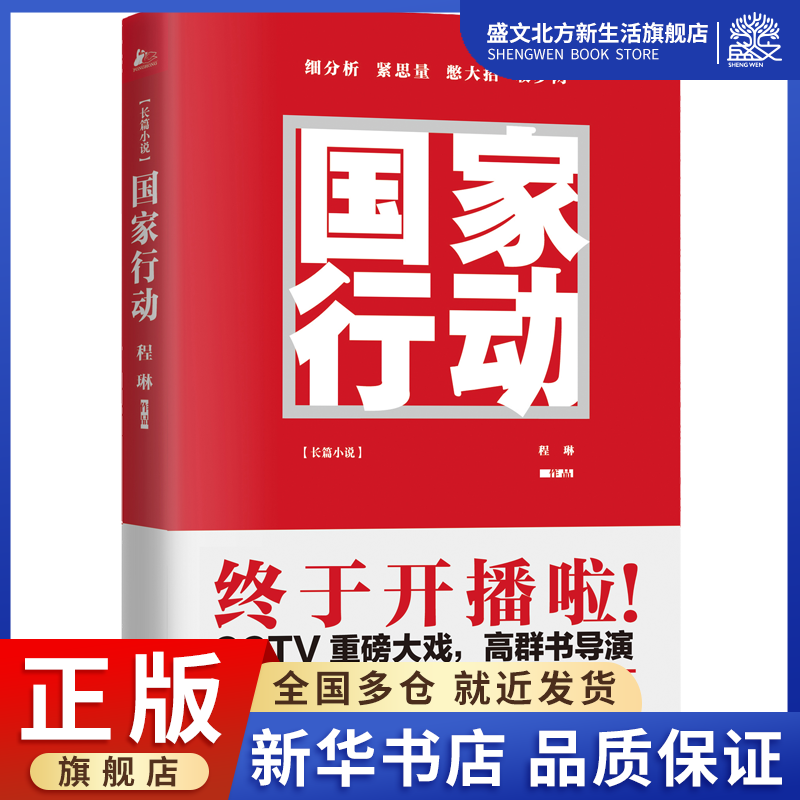 [醉染正版]国家行动 程琳 著 著作 官场、职场小说 文学 江苏文艺出版社 图书高清大图