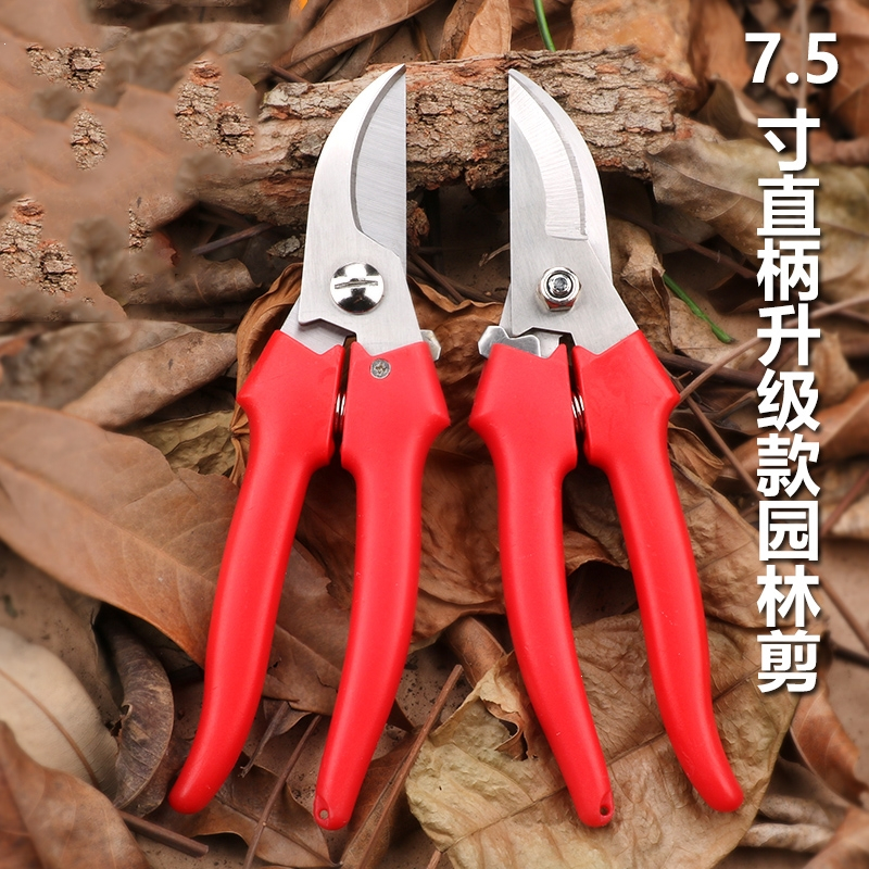 藤印象修剪果树剪刀强力果枝剪粗枝剪农用树枝剪园林艺剪s1320视频