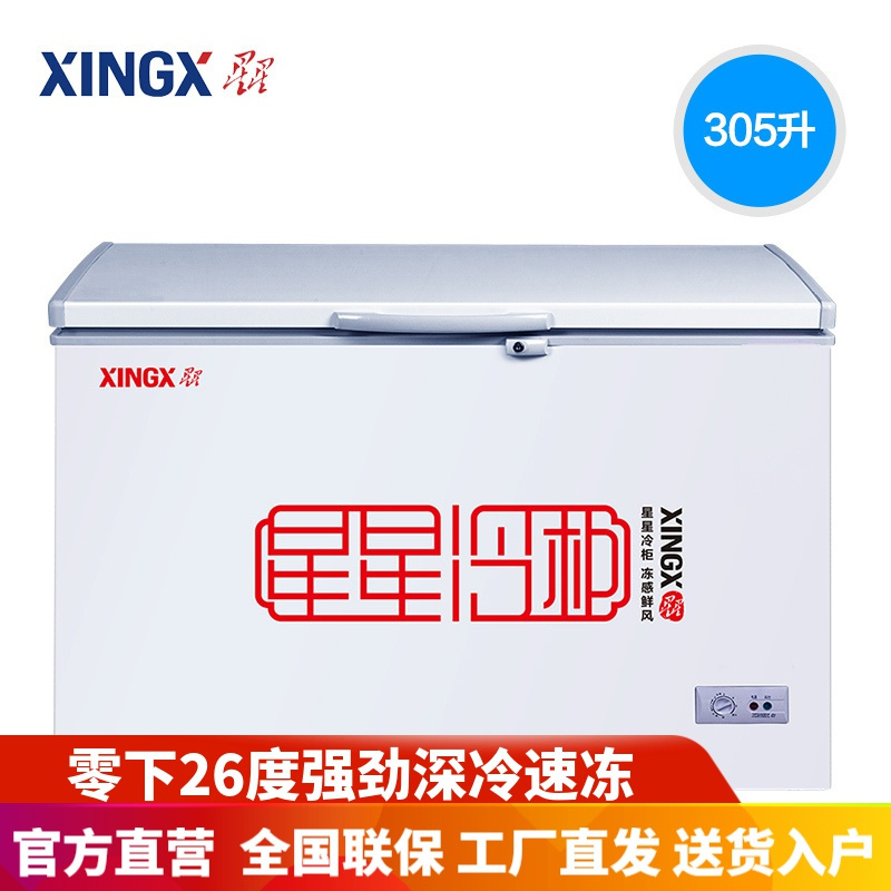 星星(XINGX) BD/BC-305E 305升 冰柜商用家用大容量冷冻柜卧式单温带锁冷藏保鲜冷柜