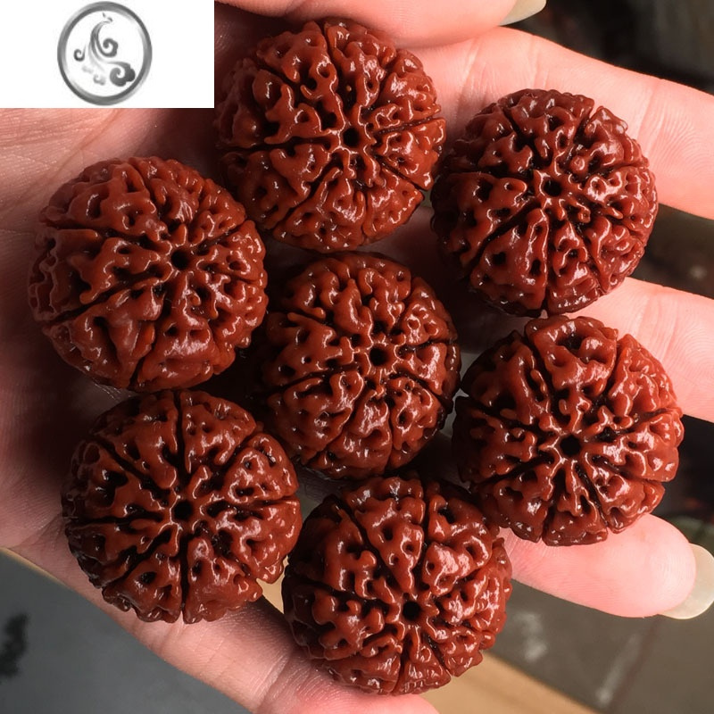 jimi尼泊尔大金刚菩提手串男盘玩冷门文玩原籽满肉散珠佛珠念珠手链女