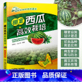 【正版】棚室西瓜高效栽培 高效种植致富直通车 西瓜种植技术西瓜栽培书籍 育苗育种教程 大棚种西瓜技术 病虫害防治施技