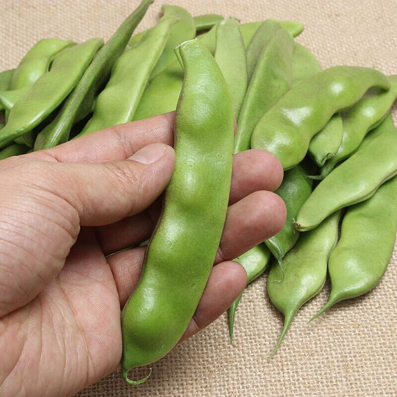 东北油豆角新鲜蔬菜九月青扁豆黑龙江开锅烂一点红面豆角5斤