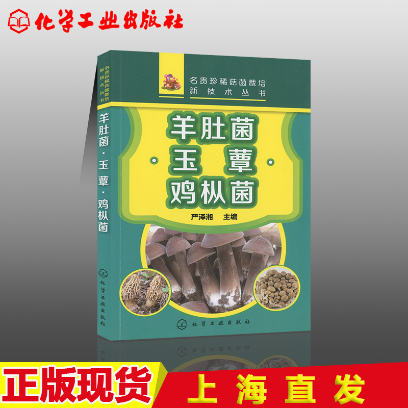[正版]化工社直供羊肚菌 玉蕈 鸡枞菌 名贵珍稀菇菌栽培新技术丛书 菌类栽培技术 病虫害防治治疗 培育菌种技术 采收包