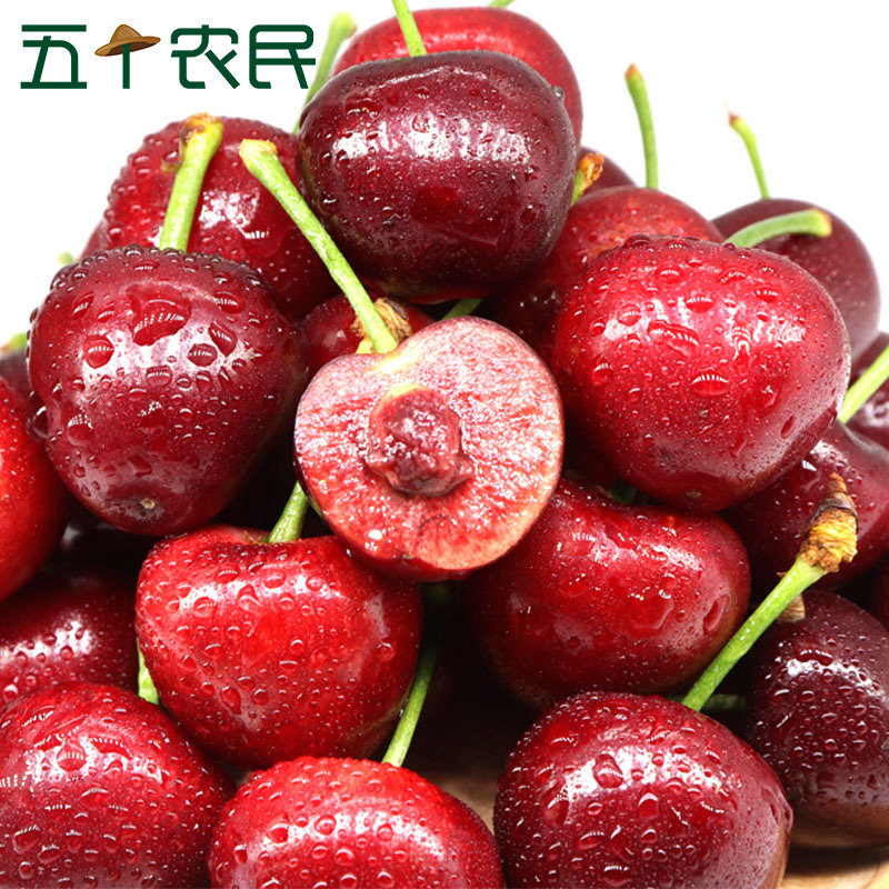 [五个农民]精品陕西美早樱桃国产车厘子JJ级5斤装新鲜水果 健康轻食 顺丰空运