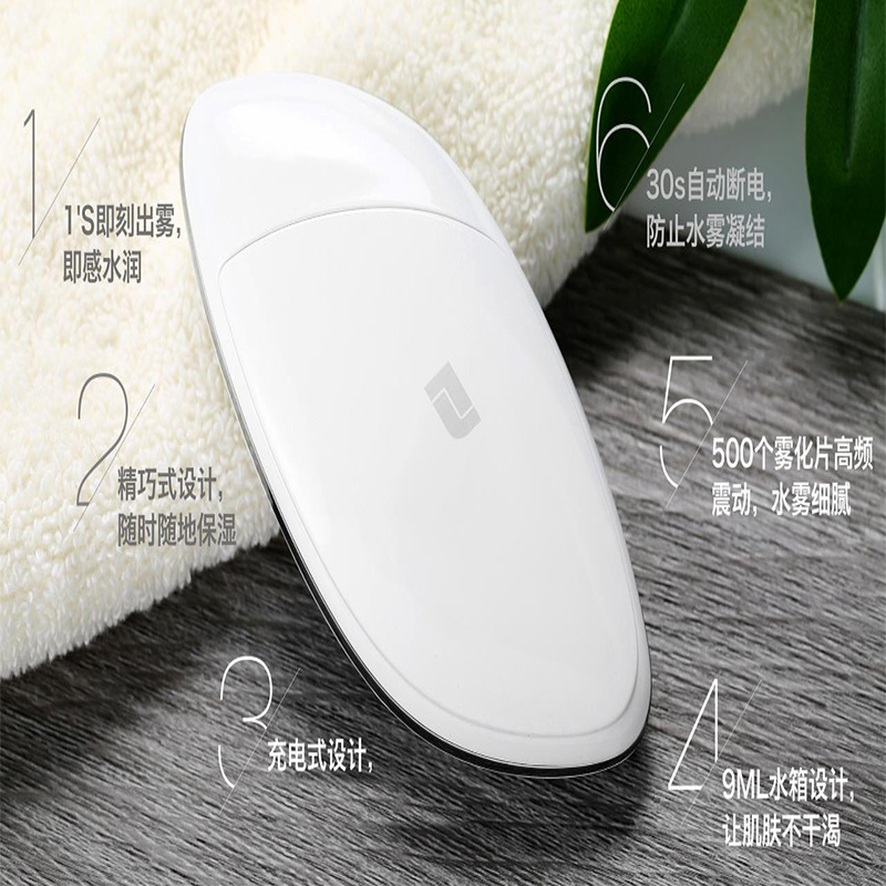 LIFETRONS 励富创 纳米雾化美颜仪 NS-400AS-WH1