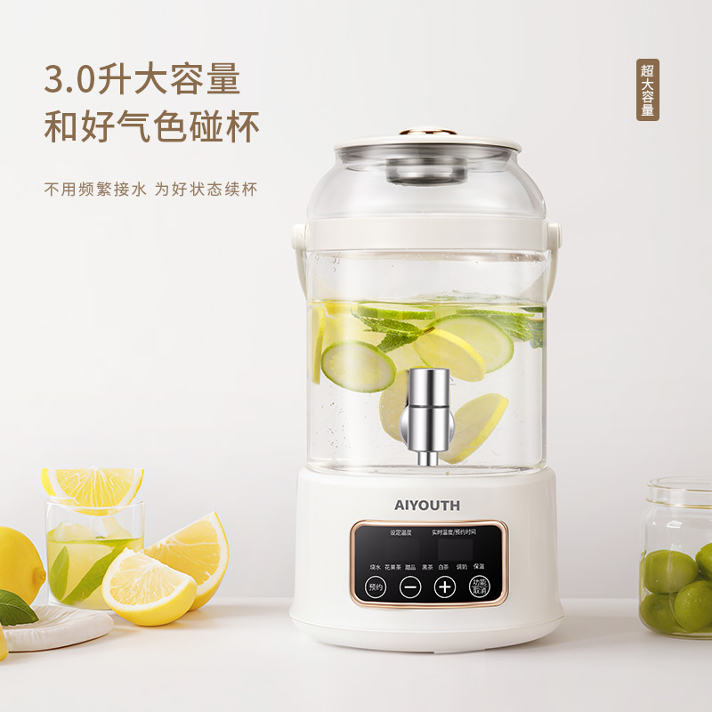 艾青春 3升大容量养生壶 AI-YSH888(带滤网)高清大图