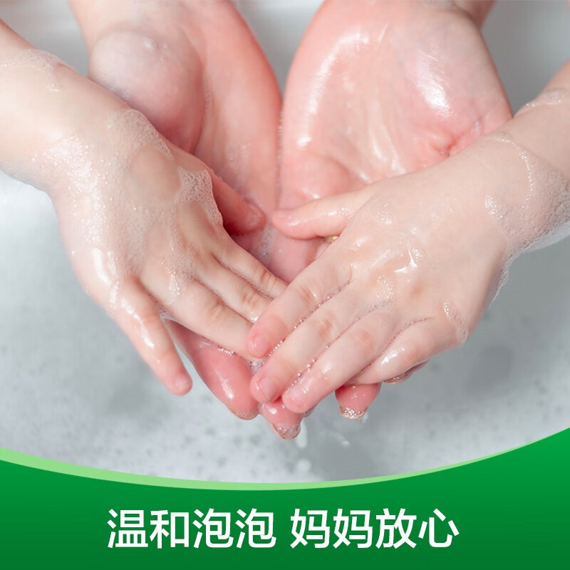滴露 泡沫洗手液兰花香沁KT250ml(单位:件)