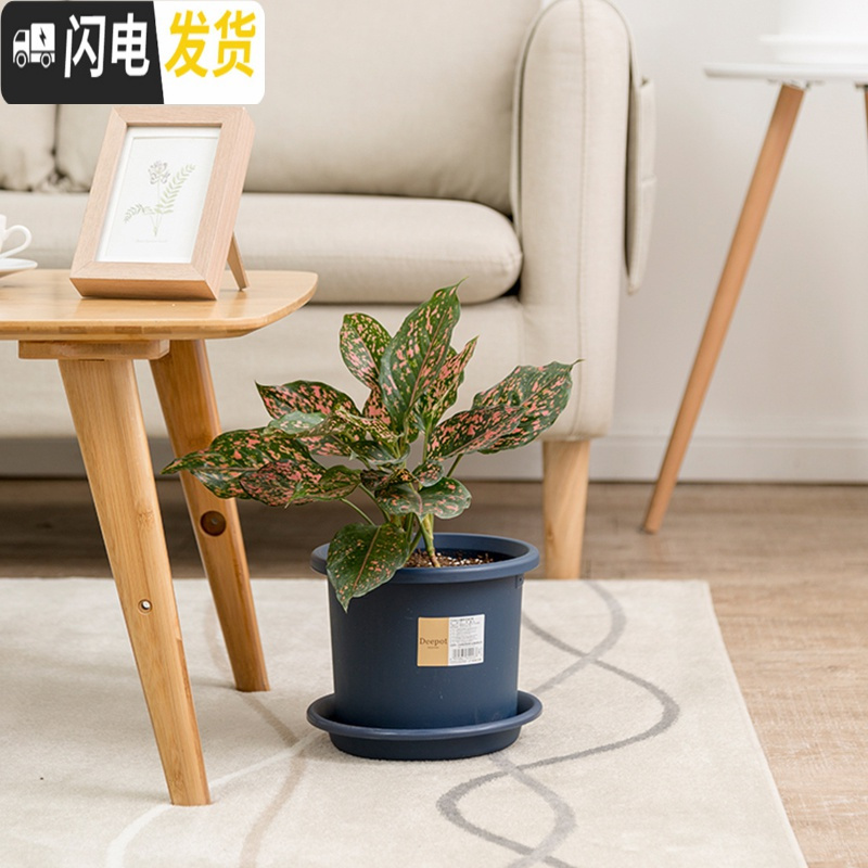 三维工匠彩色Deepot深型月季铁线莲花盆树脂花盆塑料加仑花盆 5号浅绿直径约17厘米[5号两个起发] 中等花盆容器高清大图