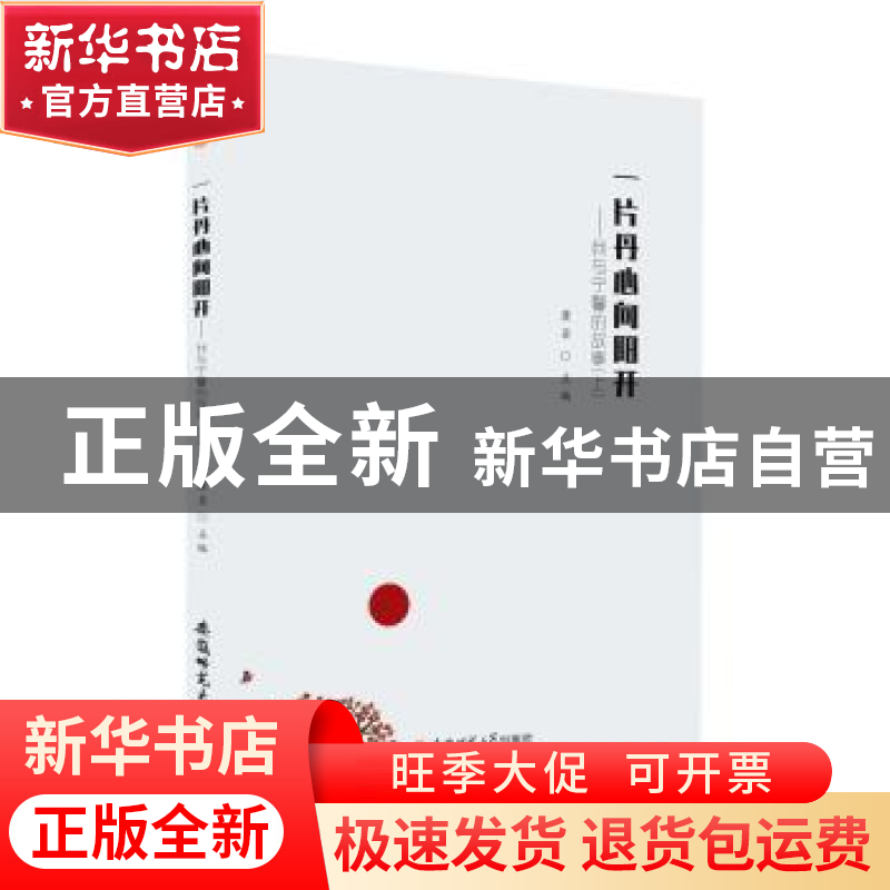 正版 一片丹心向阳开:我与宁馨的故事:上 萧芸 安徽师范大学出高清大图