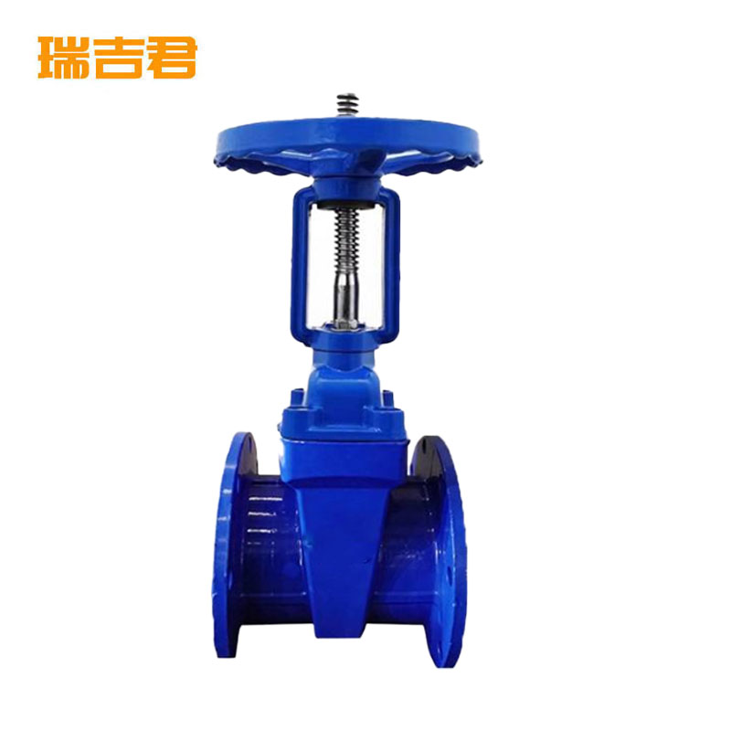 瑞吉君 软密封明杆闸阀 DN65 个高清大图