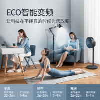 德国蓝宝空气循环扇电风扇落地家用遥控台式摇头涡轮对流电扇