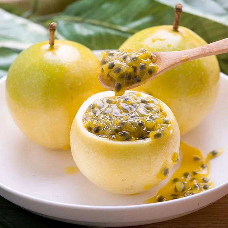 允景洪旗舰黄金百香果南香源黄金龙涎香5斤特大果单果约75100g2536个