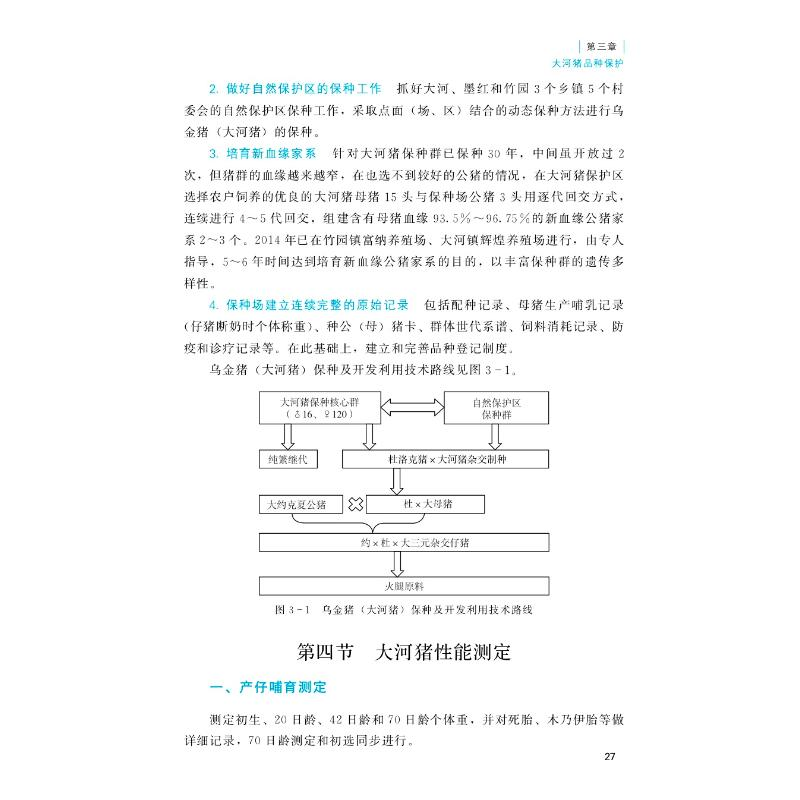醉染图书大河猪9787109267213高清大图
