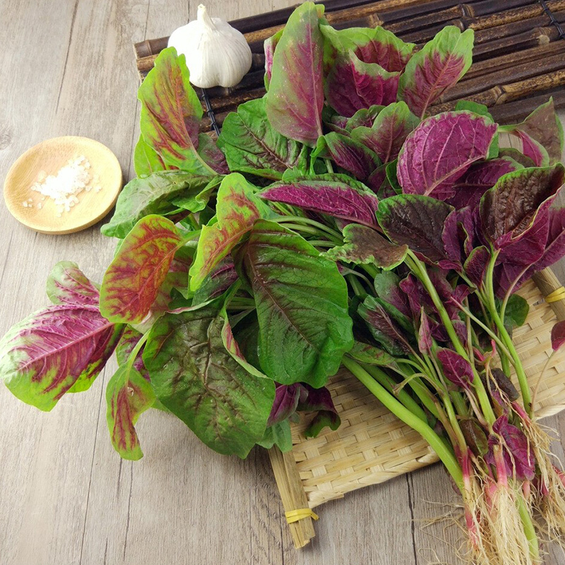 产地直供苋菜斤