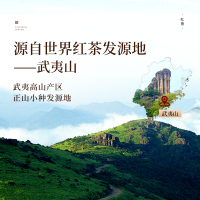 [元正]茶颜红蓓浓香型红茶正宗武夷山小种红茶叶散装武夷红茶罐装 3罐 共150g