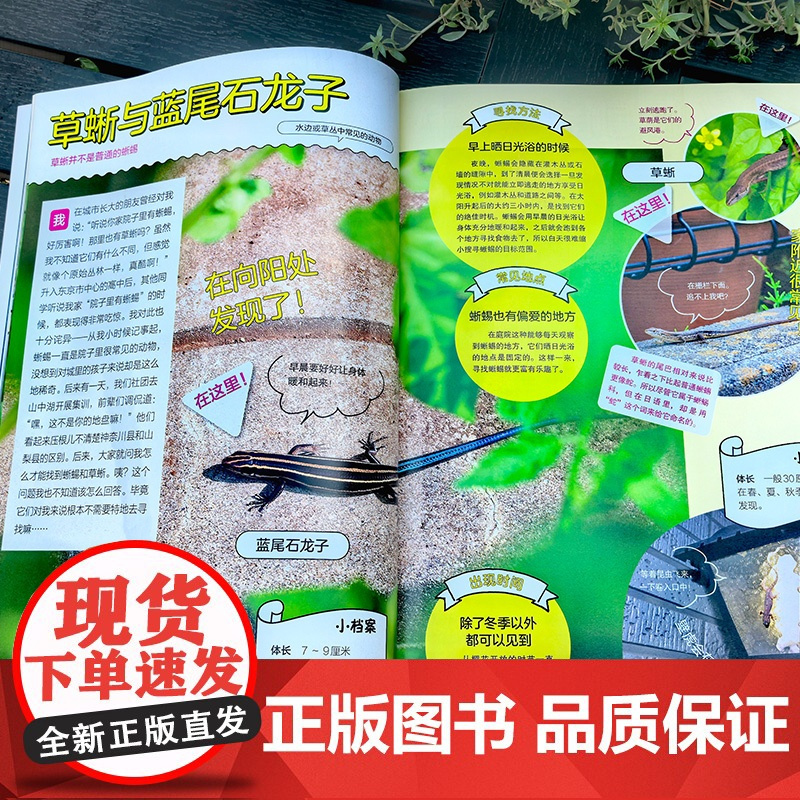 你没想过的小动物系列 去哪里寻找它们 6-12岁小学生四色科普书 小动物宝典 小学生作文写作参考书 爬行萌宠冷门小动物知