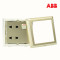 ABB开关插座 德逸珍珠金 一开四孔带开关10A电源面板AE222-PG