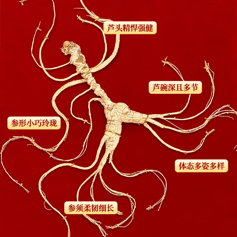 长白山人参 野山参A9(约29年) 证书:一等,20年以上 >15g/盒高清大图