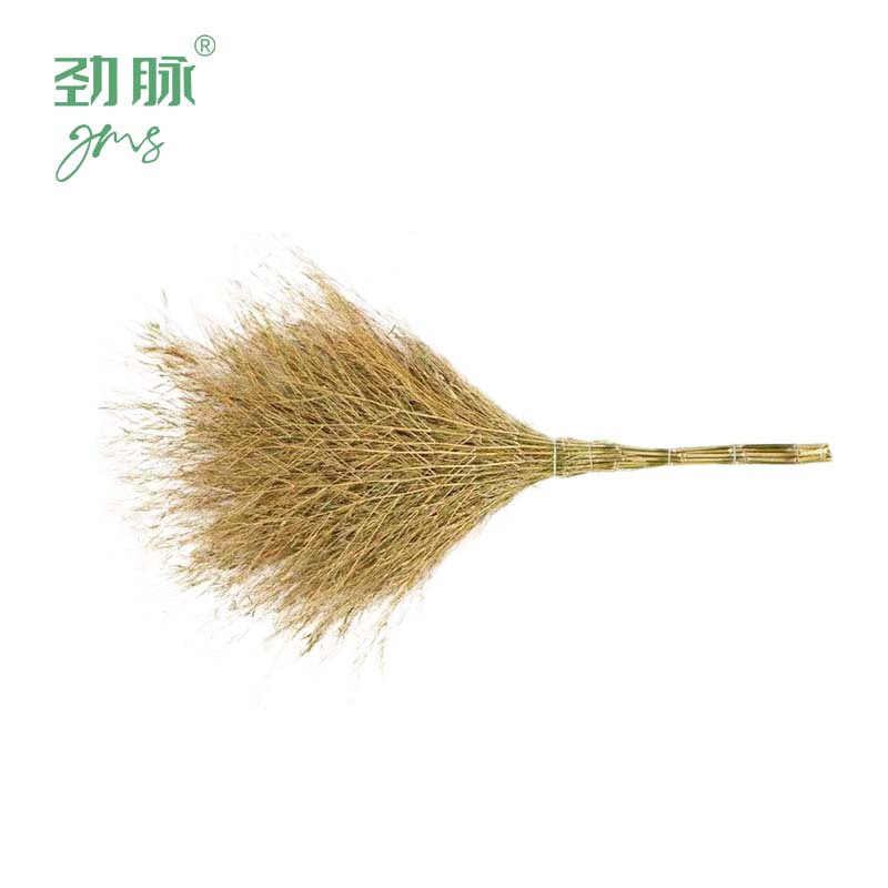 劲脉 户外环卫大扫把扫帚 一体式5斤 把高清大图