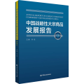 中国战略性大宗商品发展报告 2024