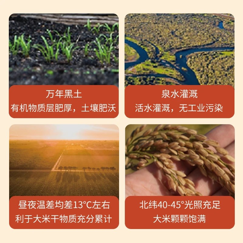 珍粒香五常大米红运礼盒5kg 红色(单位:箱)高清大图