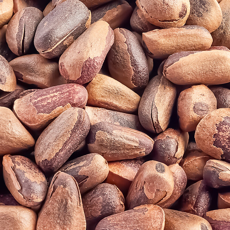 臻味 东北松子300g/罐高清大图