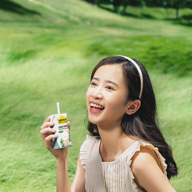 认养一头牛 儿童学生早餐生牛乳发酵原味酸奶 200g*12盒高清大图