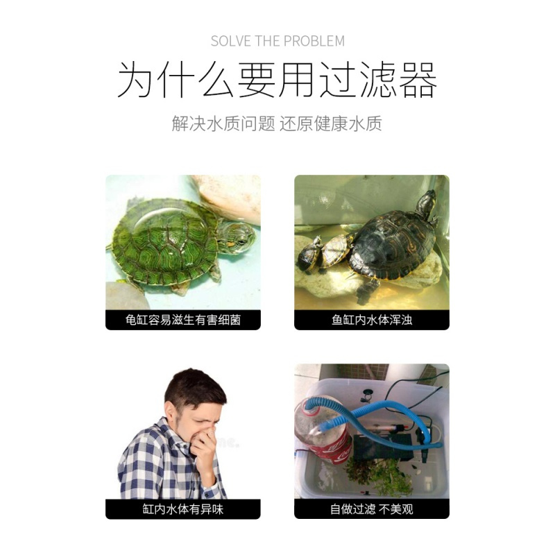低水位过滤器龟箱龟盆小型鱼缸过滤器带爬台喂食盆高清大图