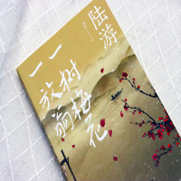 [正版]陆游 一树梅花一放翁 华籽 文学散文传记 陆游人物生平诗词传记 唐诗宋词鉴赏赏析 天津人民 中学生课外书籍