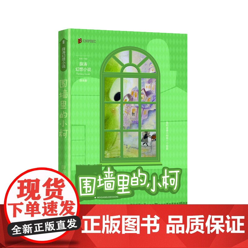 围墙里的小柯(两届全国优秀儿童文学奖获得者 薛涛 经典作品)高清大图