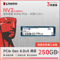 金士顿 NV2 250G