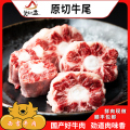 货出六盘 宁夏西吉县谷草饲喂养 六盘山牛肉 精品黄牛 牛尾4斤