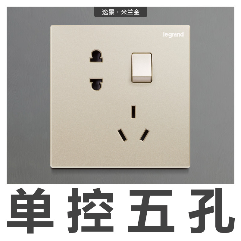 罗格朗(Legrand)五孔二三插墙壁家用暗装开关插座逸景香槟金色墙上暗线86型一开双控带多孔面板开关