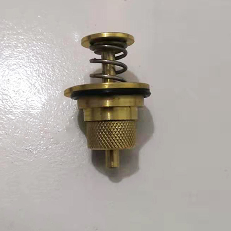 脚踏冲洗阀阀芯 手按式延时阀全铜壳体暗装大便蹲便器冲水阀配件 脚踏阀芯