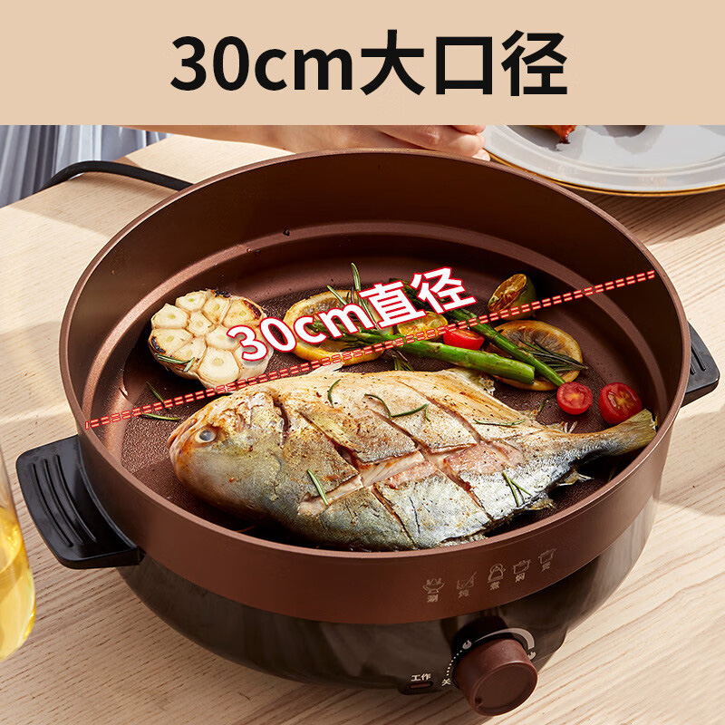 利仁电火锅4.5L大烤盘大功率自由火候均匀加热DHG-X451高清大图