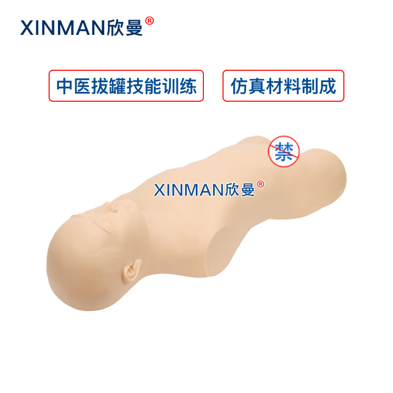 欣曼科教 中医拔罐训练模型 拔罐练习模拟人 中医教学人体模型高清大图