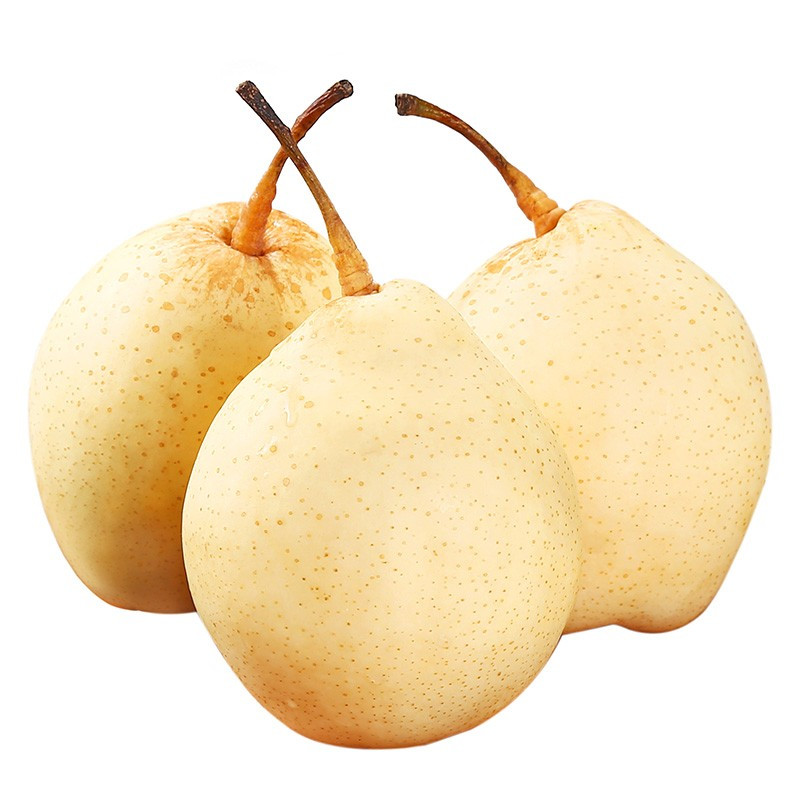 河北鸭梨现发水果白梨子雪梨新鲜水果25kg视频