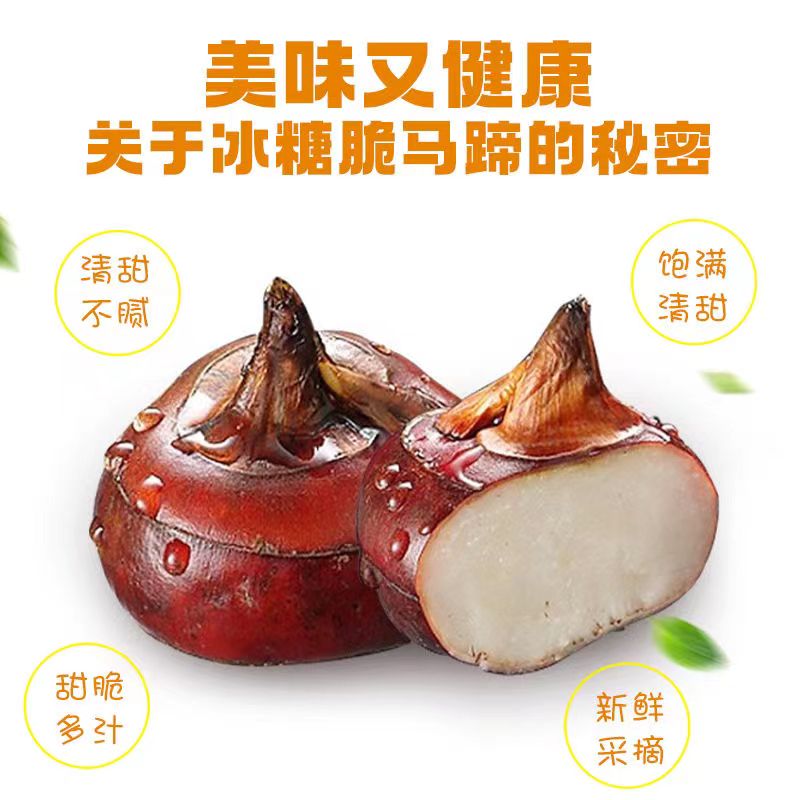 浙梅冰糖脆马蹄100g*3袋荸荠去皮即食果蔬菜干零食高清大图