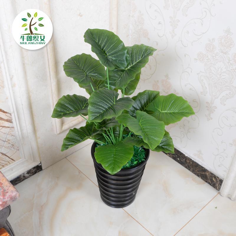 假树滴水观音仿真植物树绿植大型盆栽客厅办公室内假花落地装饰花