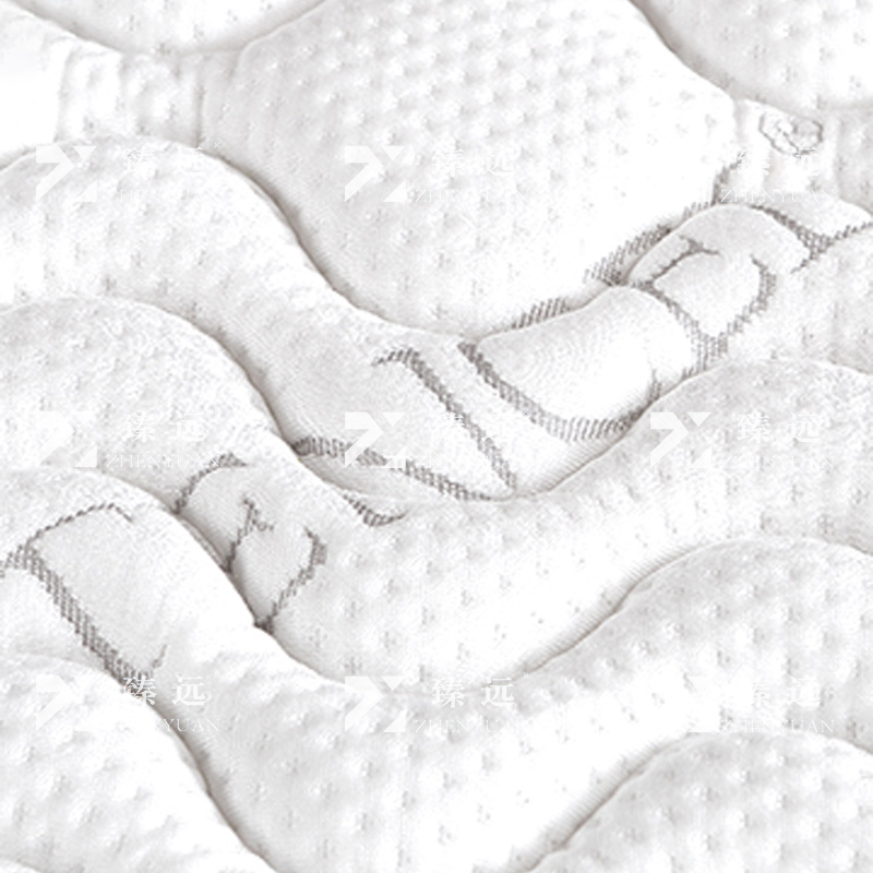 臻远 ZY3120902棕垫护脊3E椰棕床垫1200*2000高清大图